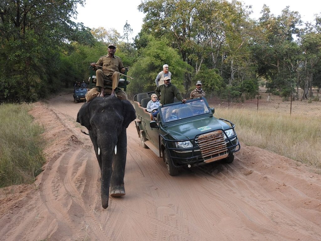 Bandhavgarh